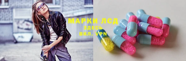 ГАЛЛЮЦИНОГЕННЫЕ ГРИБЫ Надым