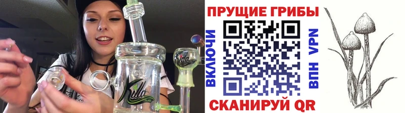 Псилоцибиновые грибы Cubensis  mega tor  Бирюч  наркошоп 
